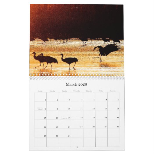 2019/2020 Kran-Vogel-Tier-Tier-Kalender Kalender (Mär 2026)