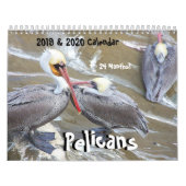 2019 2020 Pelikan-Vogel-Tier-Tier-Kalender Kalender (Titelbild)