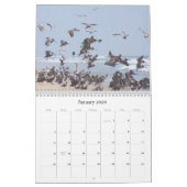 2019 2020 Pelikan-Vogel-Tier-Tier-Kalender Kalender (Jan 2026)