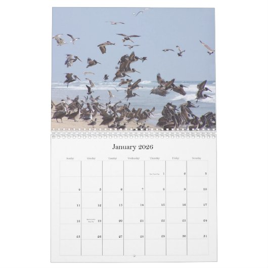 2019 2020 Pelikan-Vogel-Tier-Tier-Kalender Kalender (Jan 2026)