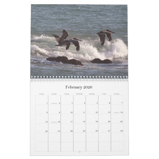 2019 2020 Pelikan-Vogel-Tier-Tier-Kalender Kalender (Feb 2026)