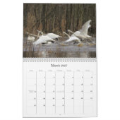 2019 2020 Schwan-Vogel-Tier-Tier-Schutz Kalender (Mär 2027)