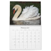 2019 2020 Schwan-Vogel-Tier-Tier-Schutz Kalender (Feb 2027)