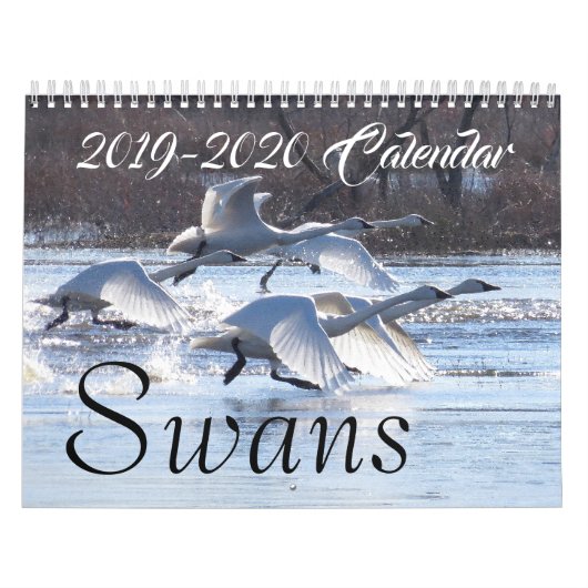 2019 2020 Schwan-Vogel-Tier-Tier-Schutz Kalender (Titelbild)