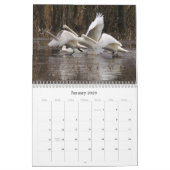 2019 2020 Schwan-Vogel-Tier-Tier-Schutz Kalender (Jan 2026)