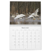 2019 2020 Schwan-Vogel-Tier-Tier-Schutz Kalender (Mär 2026)