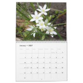 2019 bunte Blumen Kalender (Jan 2027)