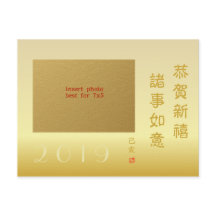 2019 Chinesisches Neujahr des Fotos der Schweinefa