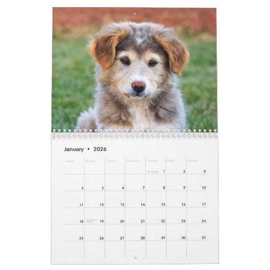 2019 entzückende Baby-Tiere Kalender (Jan 2026)