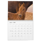 2019 entzückende Baby-Tiere Kalender (Mär 2027)