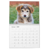 2019 entzückende Baby-Tiere Kalender (Jan 2027)