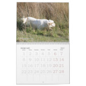 2019 Erinveine Kalender - Clumber Spaniels (Feb 2027)