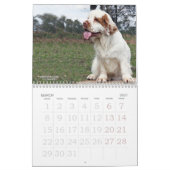 2019 Erinveine Kalender - Clumber Spaniels (Mär 2027)