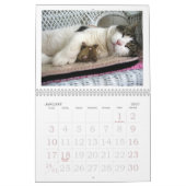 2019 FATBOY BABUSHKA KALENDER (Jan 2027)
