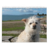2019 Gwendolyn Kalender - Medium (Titelbild)