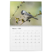 2019 Kalender, Fotografie durch Steve Borichevsky Kalender (Feb 2026)