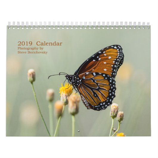 2019 Kalender, Fotografie durch Steve Borichevsky Kalender (Titelbild)