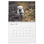 2019 Kalender Niedliche Poodle Dog Images (Feb 2027)