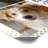 2019 Kalender Rosa Gold Familienfoto Collage Poster (Ecke)