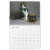 2019 Katzen-Kalender - Scottish-Falte Kalender (Mär 2027)