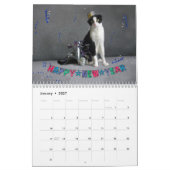 2019 Katzen-Kalender - Scottish-Falte Kalender (Jan 2027)