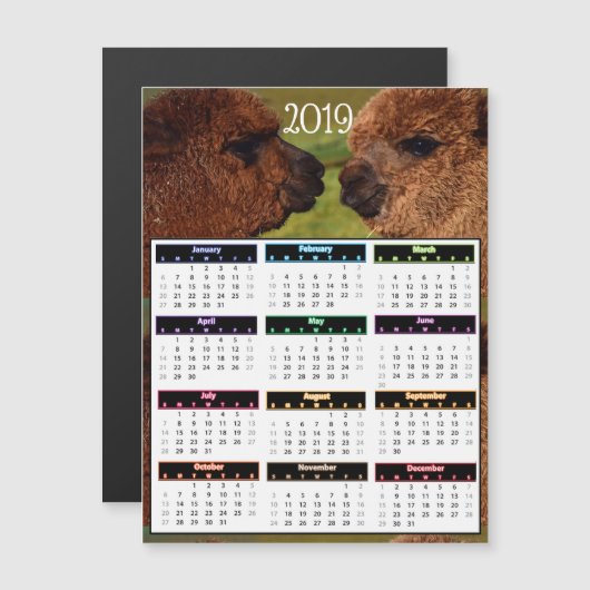 2019 lustige Alpaka-Minikalender Magneteinladung (Vorne/Hinten)