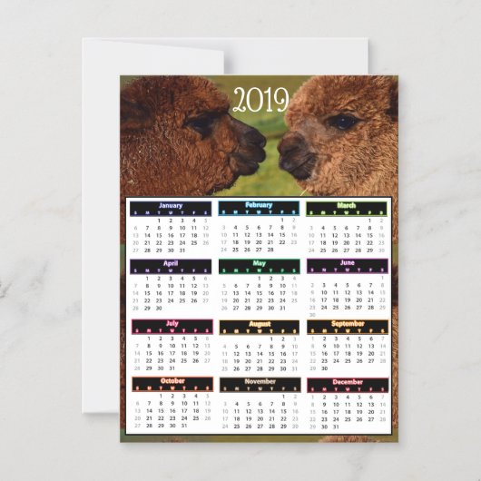 2019 lustige Alpaka-Minikalender Magneteinladung (Vorderseite)
