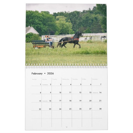2019 majestätischer Rind-Kalender Kalender (Feb 2026)