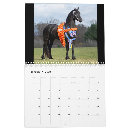 2019 majestätischer Rind-Kalender Kalender (Jan 2026)