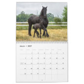2019 majestätischer Rind-Kalender Kalender (Mär 2027)