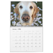 2019 mit ParkerPup, Reser u. Kieme Kalender (Jan 2026)