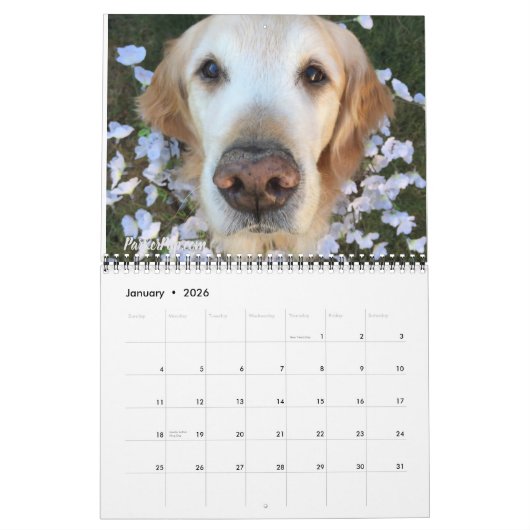 2019 mit ParkerPup, Reser u. Kieme Kalender (Jan 2026)