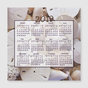 2019 Muscheln Sand Dollar Mini Magnet Kalender