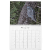2019 Nordamerikaner-Eulen-Wandkalender Kalender (Feb 2027)