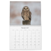 2019 Nordamerikaner-Eulen-Wandkalender Kalender (Jan 2027)