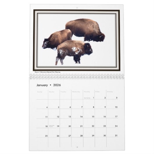 2019 schöne Bilder des Intermountain West! Kalender (Jan 2026)