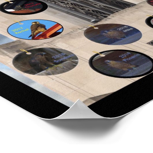 2019 Schönheit und Dot.ca 13x19 Poster am Time Squ (Ecke)