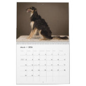 2019 seidene Windhounds Aufstellung Kalender (Mär 2026)