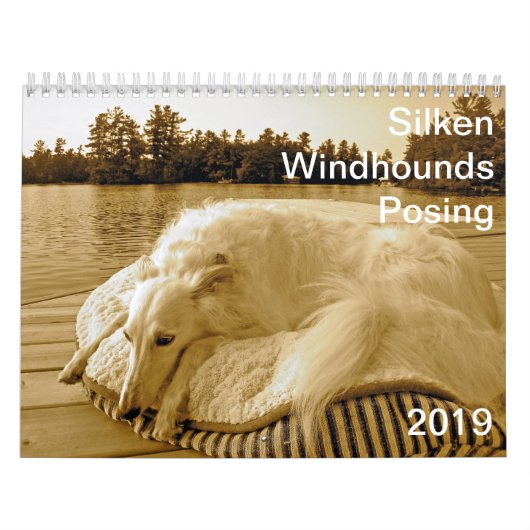 2019 seidene Windhounds Aufstellung Kalender (Titelbild)