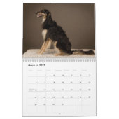 2019 seidene Windhounds Aufstellung Kalender (Mär 2027)