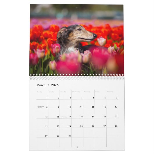 2019 seidenes Windhound durch PaulineNg Kalender (Mär 2026)