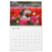 2019 seidenes Windhound durch PaulineNg Kalender (Mär 2027)