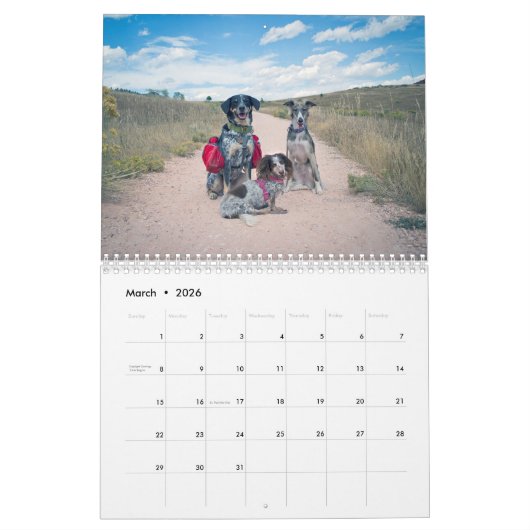 2019 seidenes Windhounds mit anderen 2 Kalender (Mär 2026)