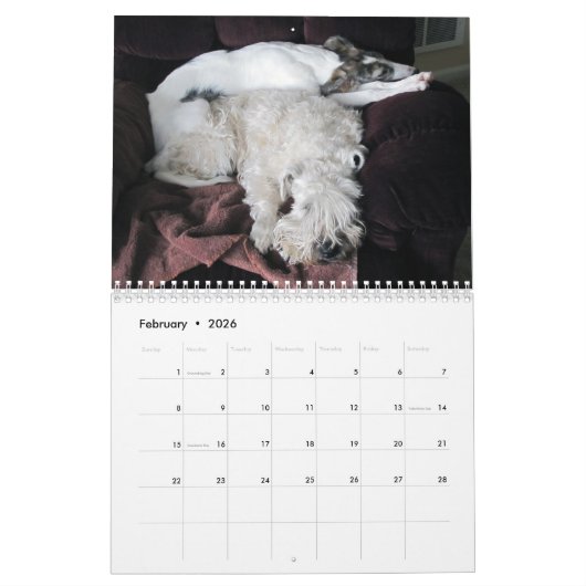 2019 seidenes Windhounds mit anderen 2 Kalender (Feb 2026)