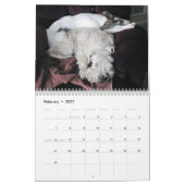 2019 seidenes Windhounds mit anderen 2 Kalender (Feb 2027)
