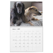 2019 seidenes Windhounds mit anderen Kalender (Mär 2027)