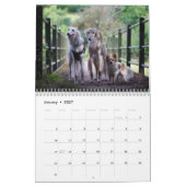 2019 seidenes Windhounds mit anderen Kalender (Jan 2027)