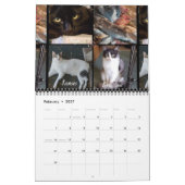 2019 Team iCat tragen für immer ein Kalender (Feb 2027)
