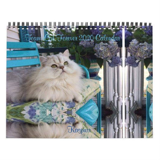 2019 Team iCat tragen für immer ein Kalender (Titelbild)