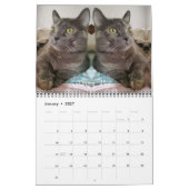 2019 Team iCat tragen für immer ein Kalender (Jan 2027)